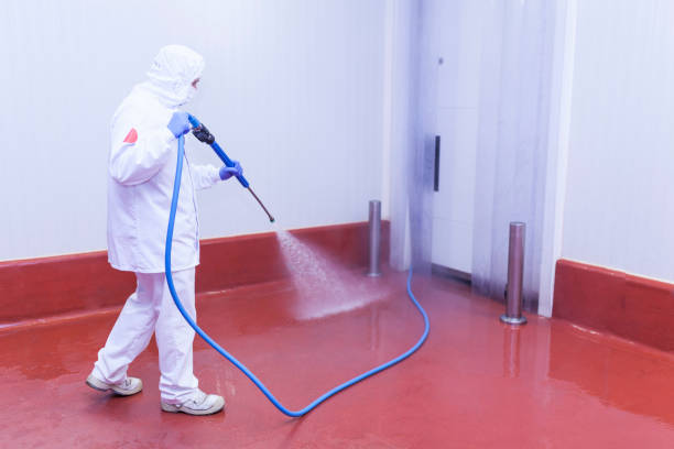 Best Playground Equipment Cleaning  in Quincy, MI